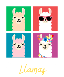 No drama llamas